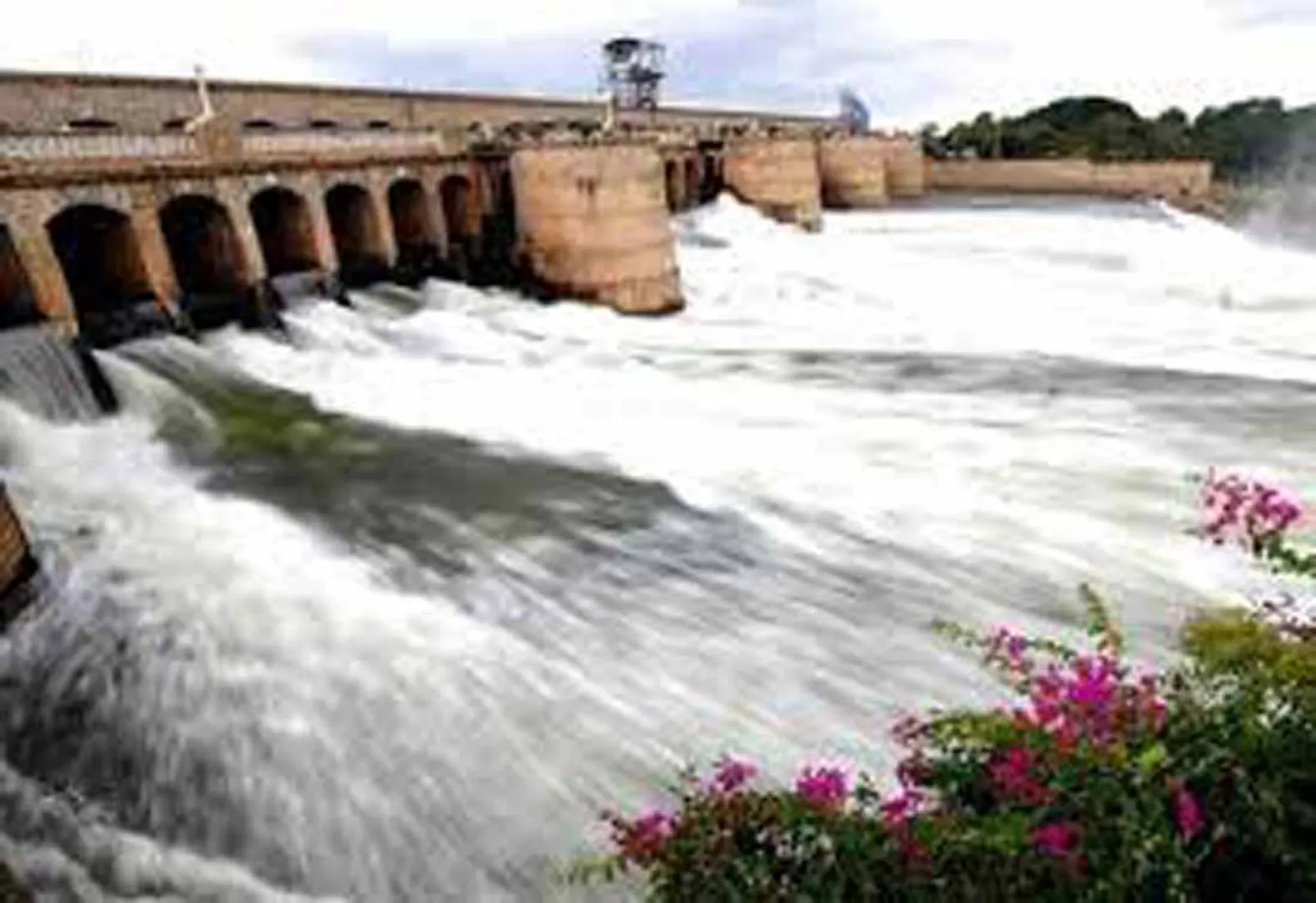 Cauvery management board